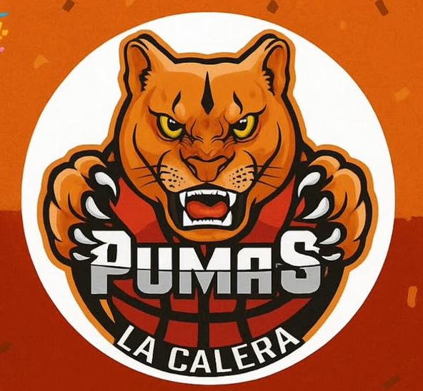 Logo Pumas Varones